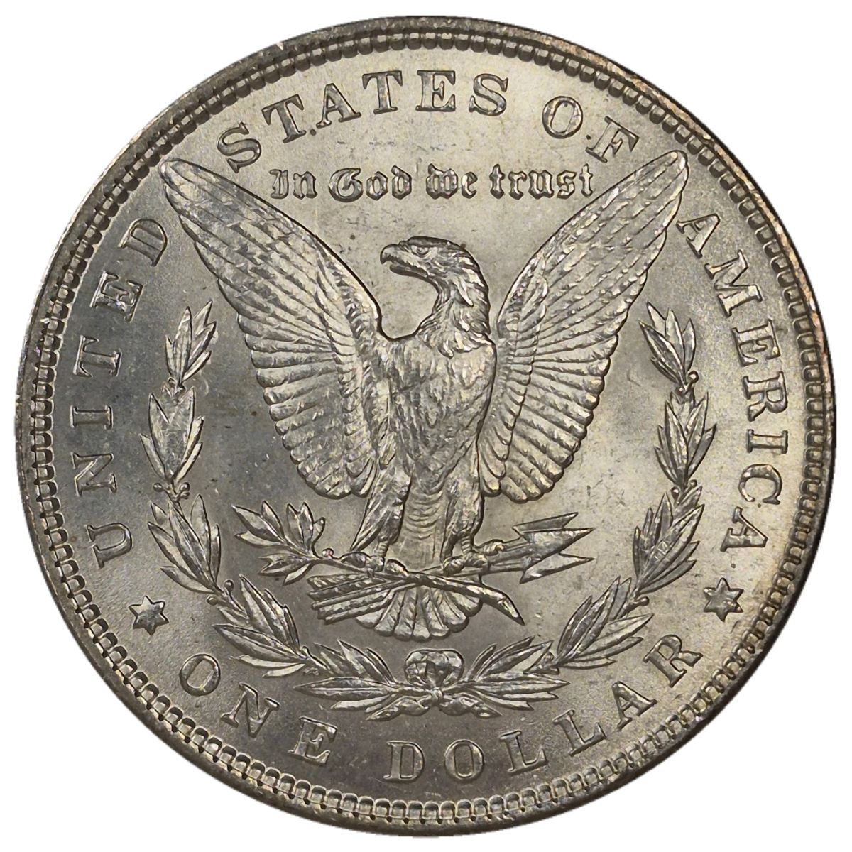 1896-$1-Morgan-Dollar-#14